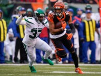 Bengals