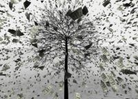 USD rain jumping from the tree