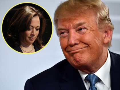 (INSET: Kamala Harris) US President Donald Trump smiles during a bilateral meeting with Japan's Prime Minister at the Bellevue centre in Biarritz, south-west France on August 25, 2019, on the second day of the annual G7 Summit attended by the leaders of the world's seven richest democracies, Britain, Canada, France, …