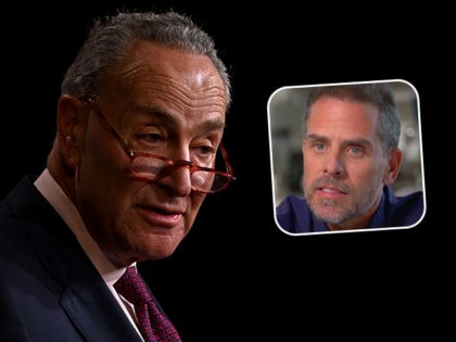 (INSET: Hunter Biden) Democratic Leader Chuck Schumer (D-NY) speaks during a press confere