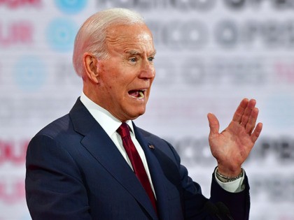 Democratic presidential hopeful former Vice President Joe Biden takes part in the sixth De