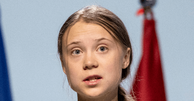 NextImg:Greta Thunberg Calls for Strike 'in Solidarity with Palestine and Gaza'