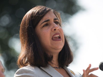 Malliotakis: We Don’t Need More COVID Money When We Haven’t Spent all the Previous Money Yet and There’s Been Billions in Fraud