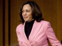 Kamala Harris (Andrew Harnik / Associated Press)