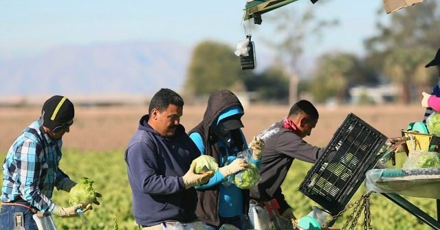 Poll Shows Growing Democratic Opposition to Cheap Labor Migration