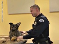 Officer Receives K9 Tribute Gift