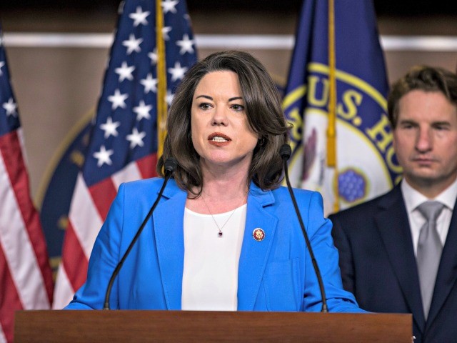 WASHINGTON, DC - JANUARY 29: Representative Angie Craig (D-MN) speaks during a press conference discussing the "Shutdown to End All Shutdowns Act (SEAS)." on January 29, 2019 in Washington, DC.  Also pictured is Rep. Dean Phillips (D-MN).  (Photo by Zach Gibson/Getty Images)