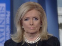 Dingell: ‘We Are Going to Lose’ if We Ignore Inflation, Border, Crime, ‘That’s What the American People Are Talking About’