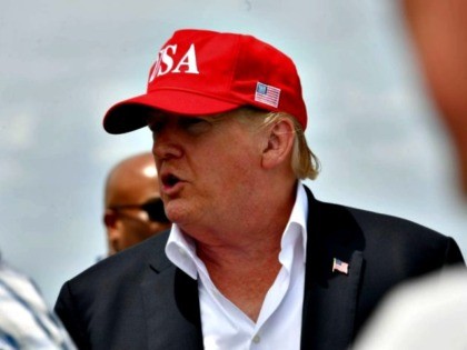 Trump in USA Hat
