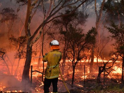 This photo taken on December 7, 2019 shows a firefighter conducting back burning measures to secure residential areas from encroaching bushfires at the Mangrove area, some 90-110 kilometres north of Sydney. - Bushfires are common in the country but scientists say this year's season has come earlier and with more …