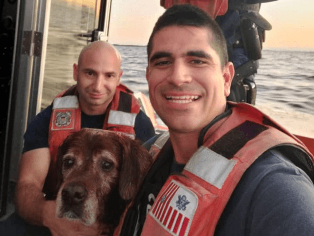 coast-guard-rescues-dog-640x480.png