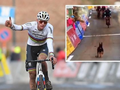 A Belgian cycling race was pushed into chaos Sunday when a loose dog ran out onto the course and chased competitors, with commentators at one stage awarding the canine runaway provisional third place in the crowded field.