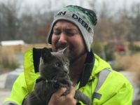 saved cat
