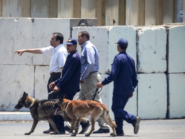 Egyptian bomb disposal expert use sniffer dogs as the check the area following a bomb blas