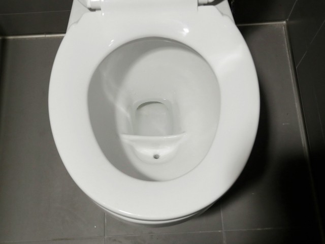 L.A. Prepares for 'Toilet-to-Tap'; Will Recycle 60% of Wastewater - Vimarsana News