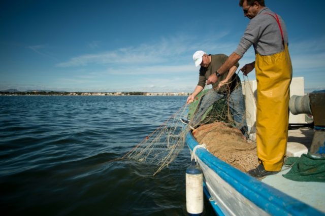 In Spain, how nutrients poisoned one of Europe's largest saltwater lagoons