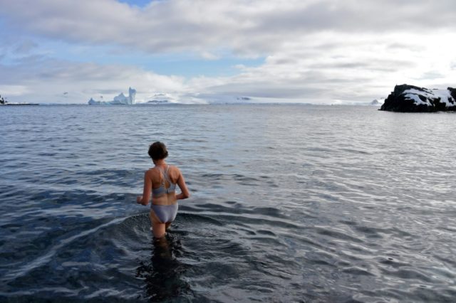 Tourists take a plunge in temperatures of three degrees C (37.4 F) In Antarctica, tourists swim among penguins
