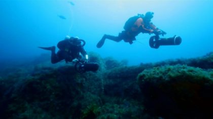 In the Atlantic's far south, cameras reveal biodiversity gem