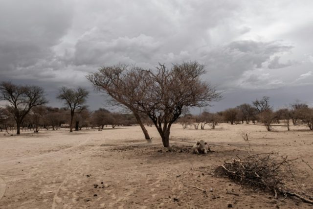 Namibia's government is impatient with the slow pace of land redistribution Namibia's government is impatient with the slow pace of land redistribution