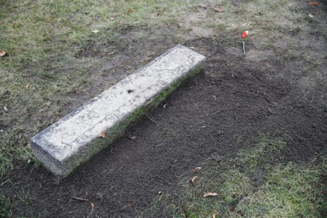 Holocaust architect's grave dug up in Berlin