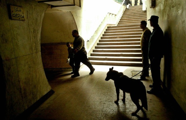 Egyptian policemen are pictured working with an explosive sniffer dog in 2005 No more US sniffer dogs to Egypt, Jordan after deaths