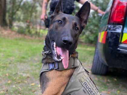 Our K9's got vests! Thanks to an anonymous donor each K9's now has a personalized ballistic vest. Rous and Ruger graciously posed to show them off. BTW, it also #TongueOutTuesday