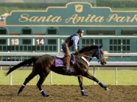 Santa Anita