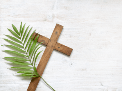 palm and cross