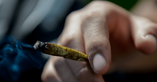 Joe Biden, Kamala Harris: Nobody 'Should Be Jailed' for Using Marijuana