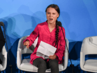 Best Response to Global Warming Is to Do ‘Nothing,’ MIT Climate Scientist Says