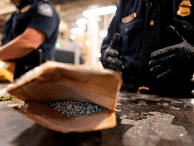 An officer from the US Customs and Border Protection, Trade and Cargo Division finds Oxycodon pills in a parcel at John F. Kennedy Airport's US Postal Service facility on June 24, 2019 in New York. - In a windowless hangar at New York's JFK airport, dozens of law enforcement officers …