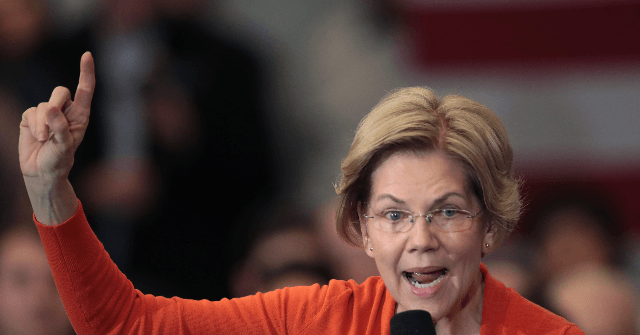 Elizabeth Warren Calls for the Firing of Postmaster General Louis DeJoy