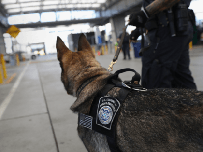 A U.S. Customs and Border Protection K-9 unit waits to check vehicles crossing into the United States from Mexico on September 23, 2016 in San Ysidro, California. Daily more than 10,000 people legally cross the border, mostly for work, at San Ysidro, making it the busiest port of entry on …