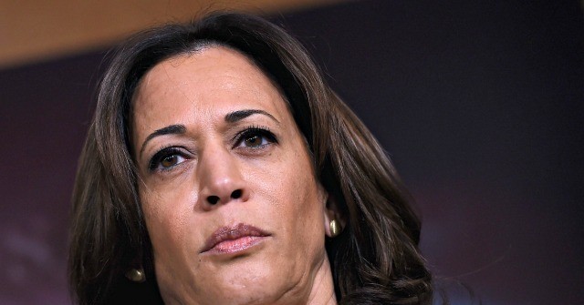 Donald Trump: Kamala Harris Was 'A Thud' in the Democrat Presidential Primary