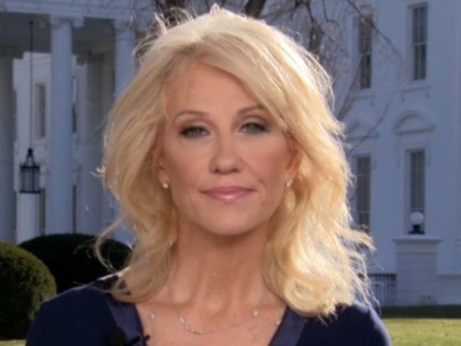 During a Thursday interview with "America's Newsroom" on Fox News Channel, White House counselor Kellyanne Conway blasted the latest antics by House Democrats in their quest to oust President Donald Trump from office.