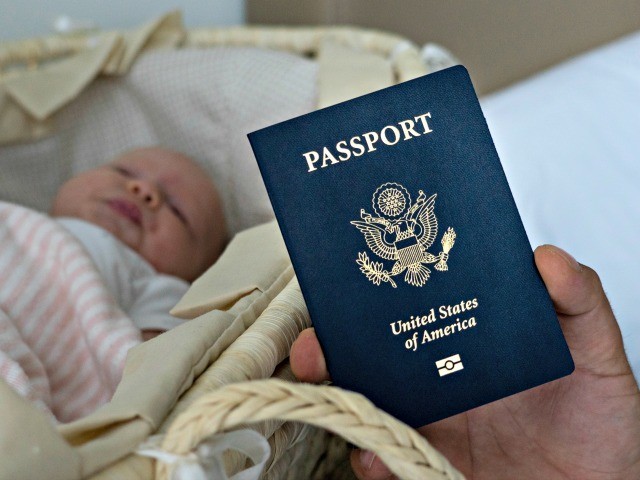In this photo taken on Jan. 24, 2019, Denis Wolok, the father of 1-month-old Eva's father, shows the child's U.S. passport during an interview with The Associated Press in Hollywood, Fla. Every year, hundreds of pregnant Russian women, like Wolok's wife, Olga Zemlyanaya, travel to the United States to give …