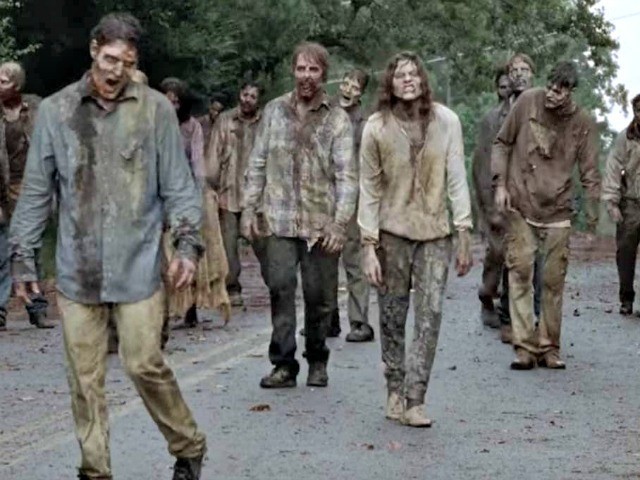 The Walking Dead Zombies