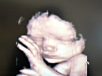 Virginia Democrats Kill Proposed ‘Pain-Capable’ 15-Week Abortion Ban