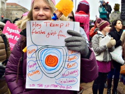 Women's March Trump Protester