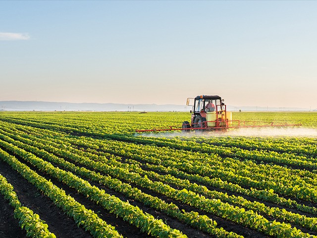 Tractor spraying soybean field at spring