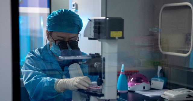 China Scientists Claim to Have A.I. 'Nanny' to Monitor Embryos in Lab Womb