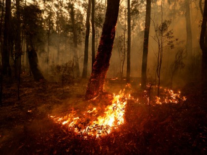 Small spot fires still burn on January 05, 2020 between Orbost and Cann River along the Princes Highway, Australia. Two people are dead and 6 remain unaccounted for as bushfires continue to burn across the East Gippsland area. Victorian premier Daniel Andrews has declared a state of disaster in the …