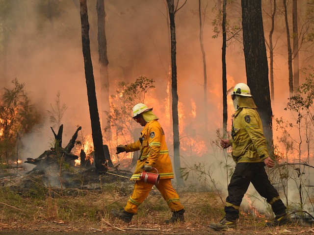 Firefighters create a back burn ahead of a fire front in the New South Wales town of Jerra