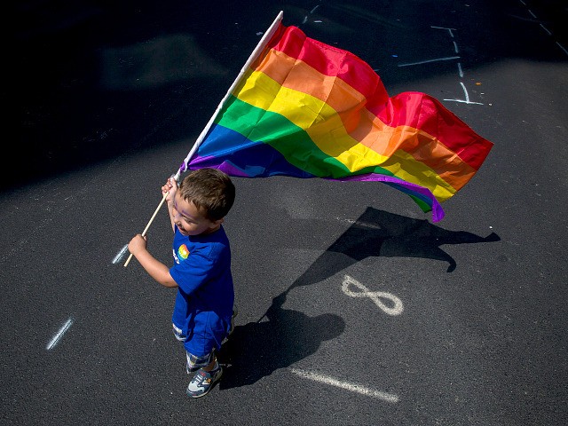 NEW YORK, NY - JUNE 26: A boy carries a flag during the New York City Pride March, June 26, 2016 in New York City. This year was the 46th Pride march in New York City (Photo by Eric Thayer/Getty Images)