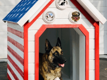 Hackettstown police announced Friday that Patrolman Chris Laver, who served in the Iraq war and had a K9 partner named Jada on the police force, was the surprise recipient of the red, white, and blue painted dog house, Lehigh Valley Live reported.