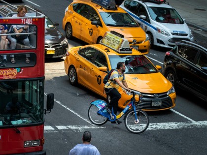 NEW YORK, NY - JULY 30: A cyclist navigates around taxi cabs on 7th Avenue in Midtown Manh