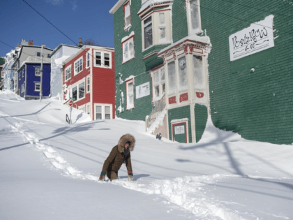 A residents makes their way through the snow in St. John's, Newfoundland on Saturday, Jan. 18, 2020. The state of emergency ordered by the City of St. John's is still in place, leaving businesses closed and vehicles off the roads in the aftermath of the major winter storm that hit …