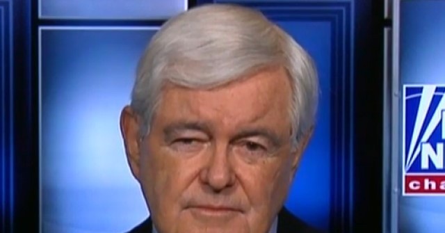 NextImg:Gingrich: 'We Don't Want to Be the Anti-Biden Party – We Want to Be the Pro-America Party'