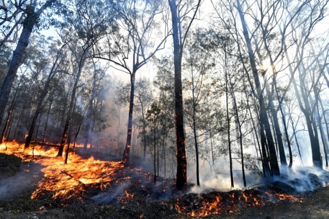 Military reservists called up as thousands flee Australian fires