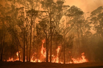 Power supply fears as troops called to battle Australia bushfires